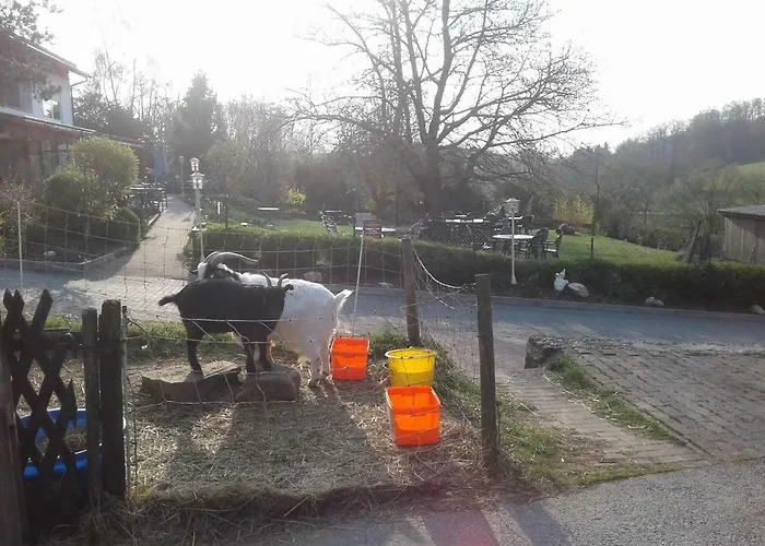 مزرعة للإقامة Kreuzdellenhof Ferienzimmer