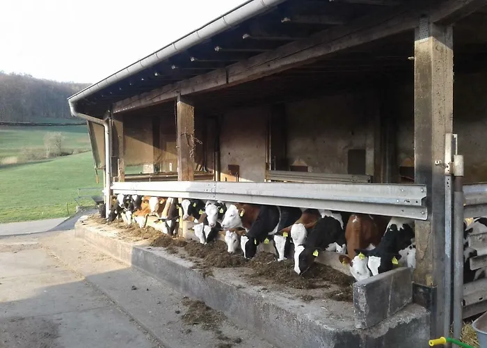 Kreuzdellenhof Ferienzimmer